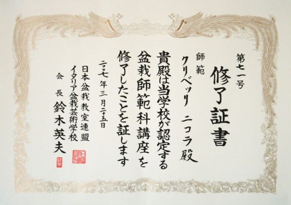 diploma Hamano