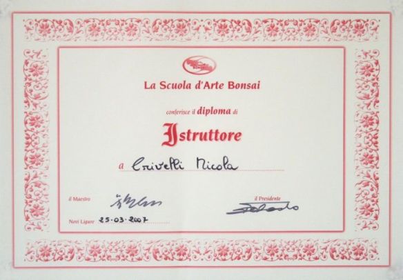 diploma Istruttore