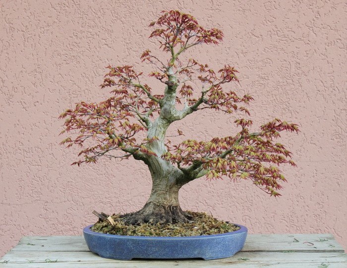 201042273523_IMG_3357