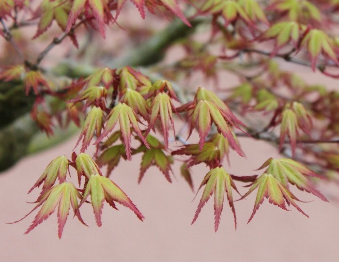 201042273835_IMG_3361