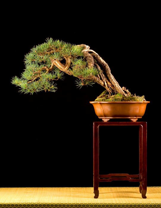 215600_1750980893070_1195297946_31525956_693513_n