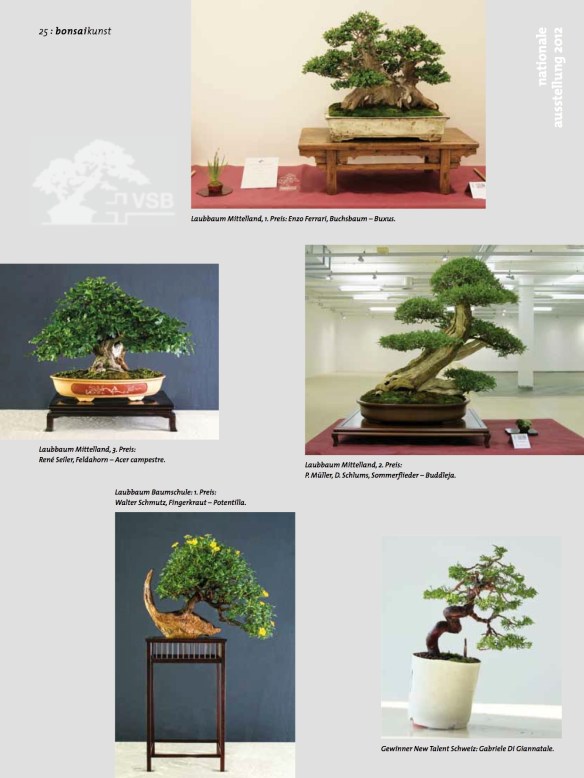 BK_63_Nat-Ausst-Rothrist-gesamt10