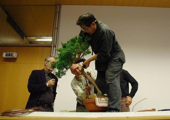 375308_2530595622951_1561313001_n