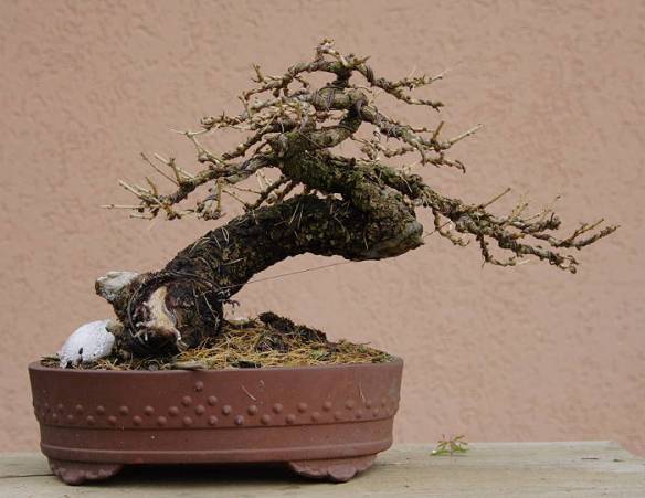 2008124163044_IMG_1058