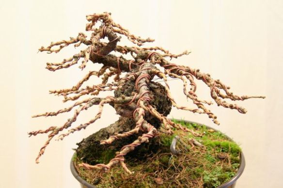 2008616125732_larice moyogi - 15