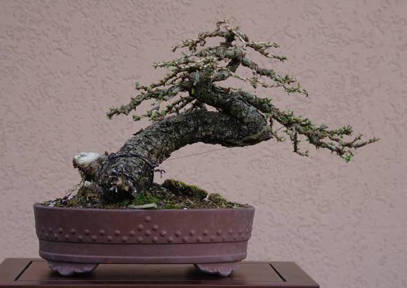 200861615116_IMG_2892