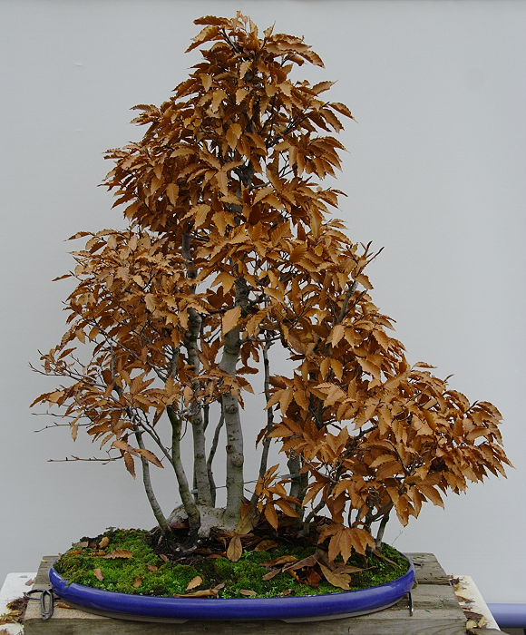 200911109112_IMG_0327