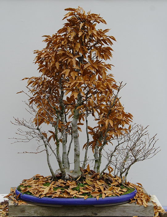 200911109619_IMG_0334