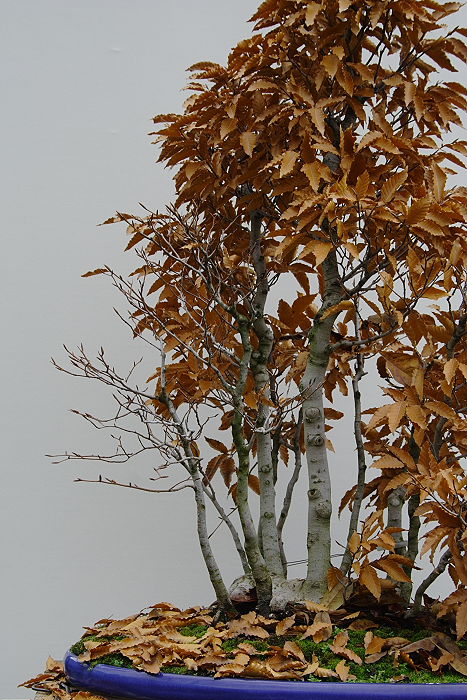 20091110961_IMG_0331