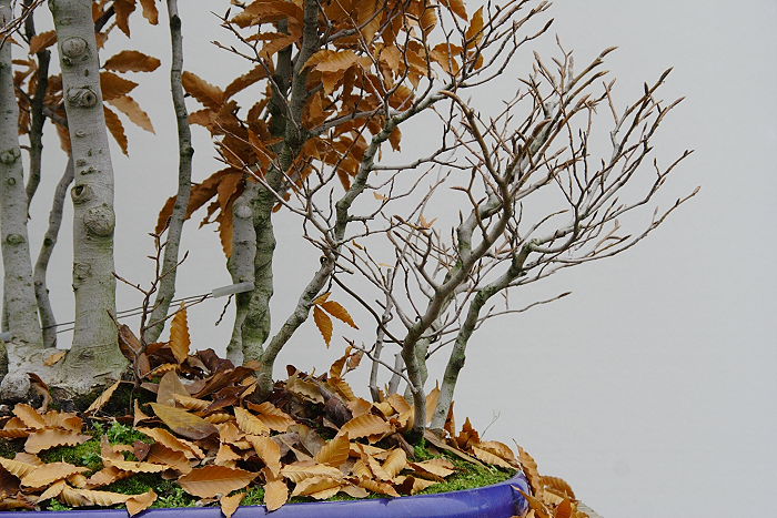 200911109641_IMG_0335