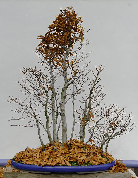 200911109725_IMG_0339