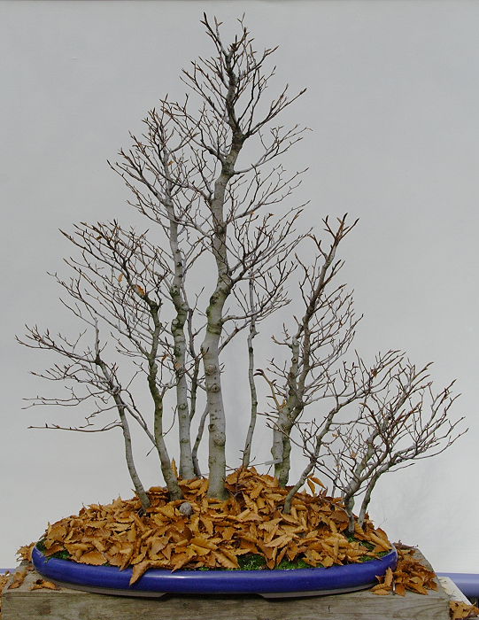 200911109749_IMG_0344