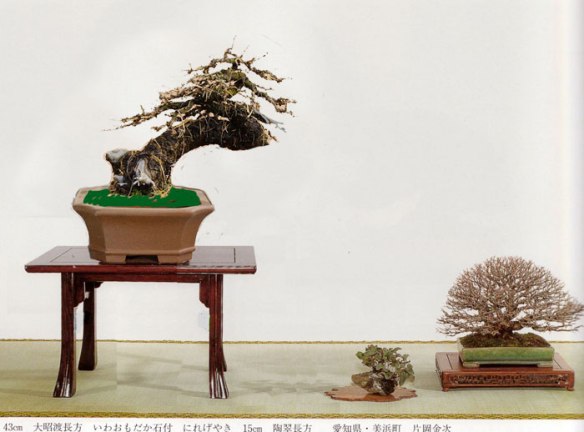 2009123124338_larix9