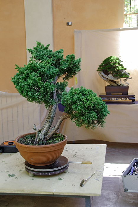 2009916131047_IMG1_7735