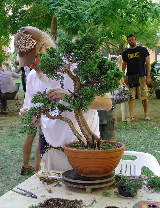 2009916133751_IMG1_7788