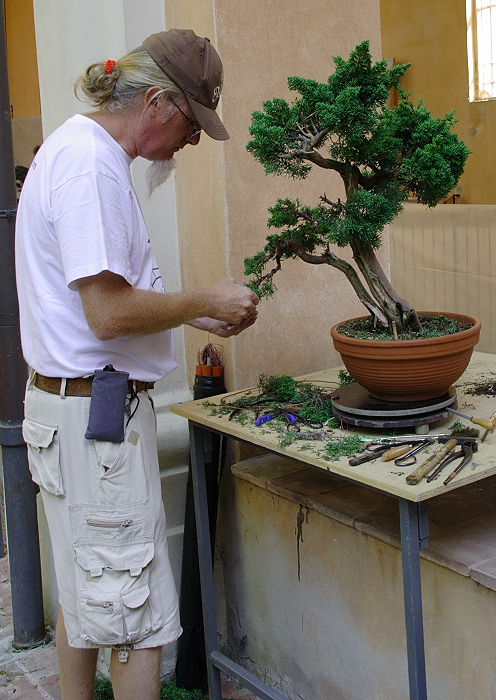 2009916133811_IMG1_7790