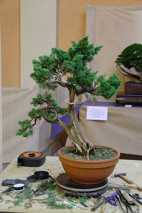 2009916134417_IMG1_7821