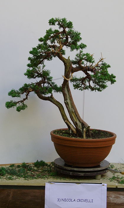 2009916134454_IMG1_7864