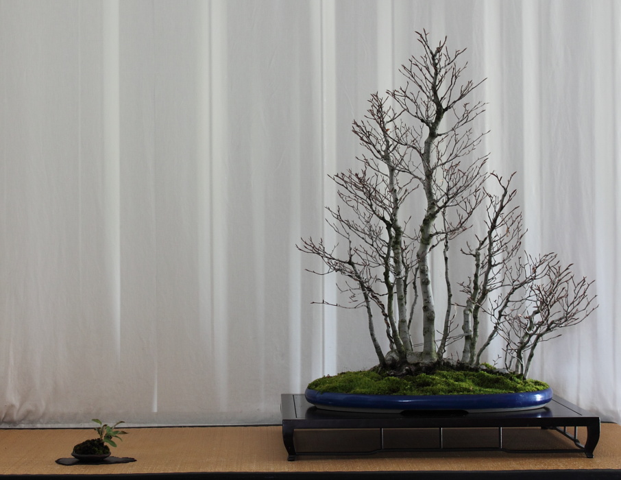 2010414141927_IMG_3129