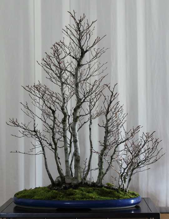 2010414141949_IMG_3127