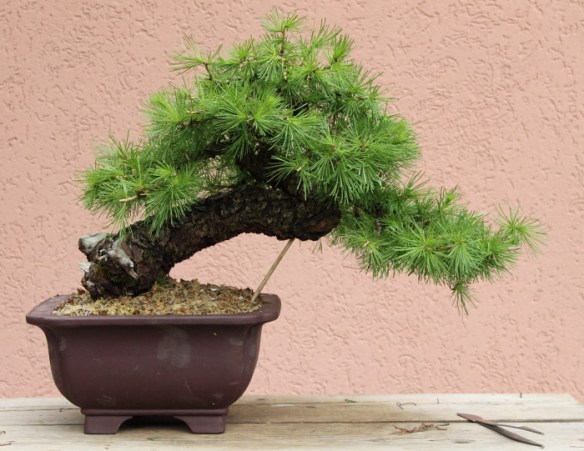 2010424172014_IMG_3448