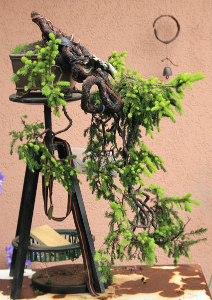 201159143419_IMG_5507