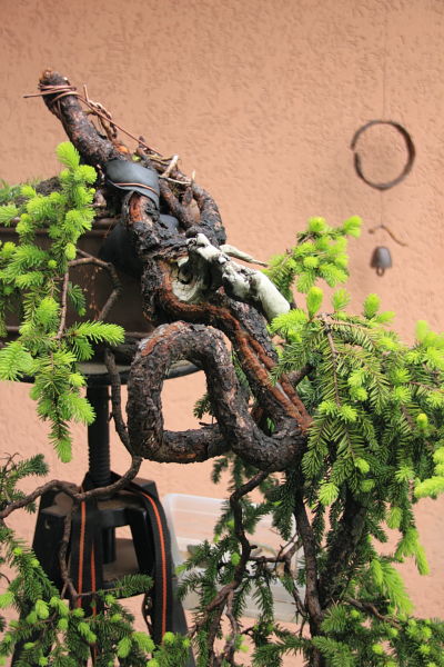 201159143454_IMG_5513