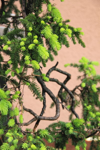 201159143527_IMG_5517