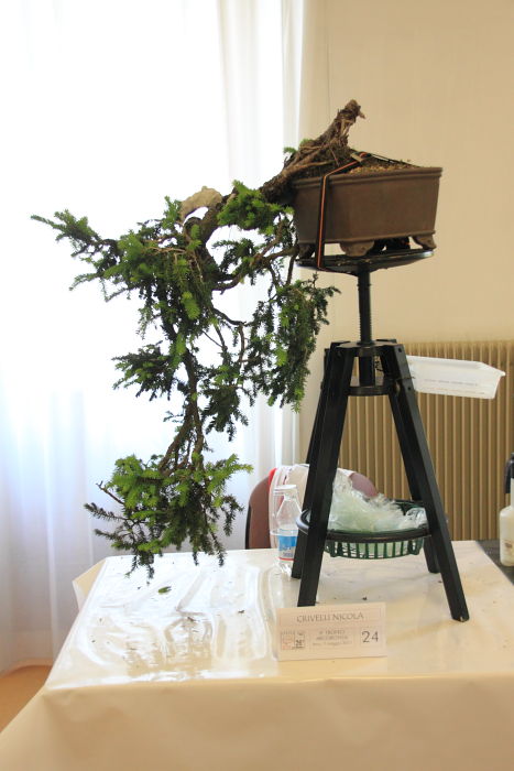 201159143920_IMG_5643