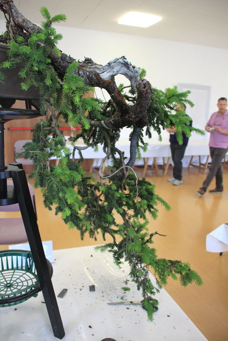 20115914408_IMG_5672