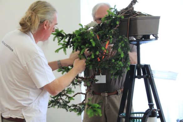 201159144225_IMG_5678