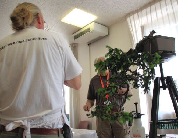 201159144429_IMG_5700