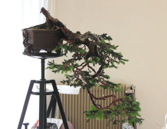 201159144453_IMG_5708