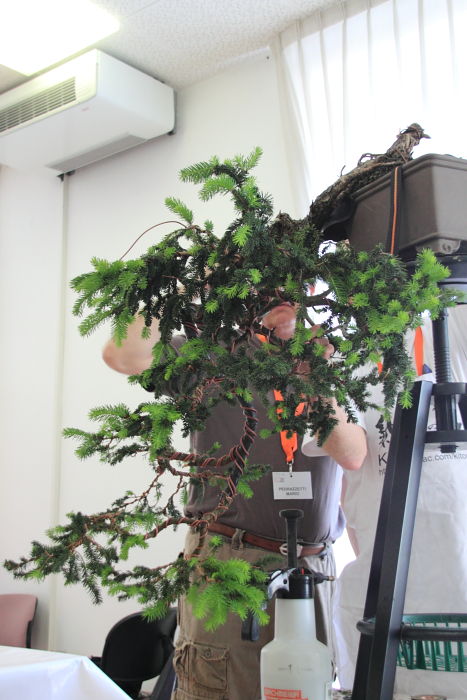 201159144531_IMG_5701