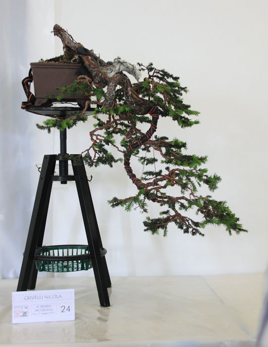 201159144736_IMG_5719