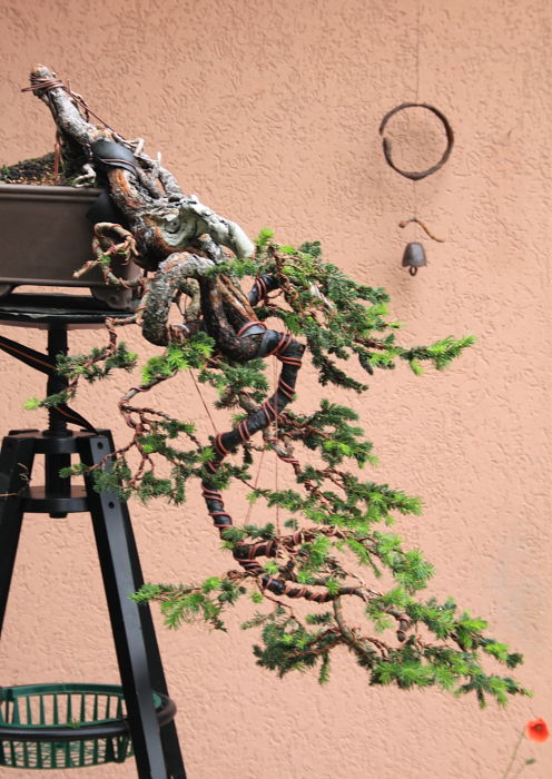 201159145243_IMG_5861