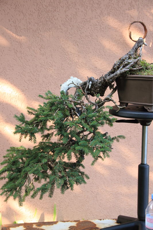 201281315914_IMG_4092