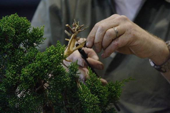 200942810457_IMG_4714