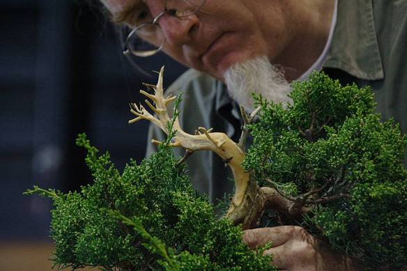 2009428104638_IMG_4722