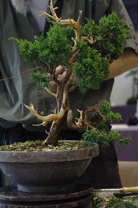 2009428104757_IMG_4745