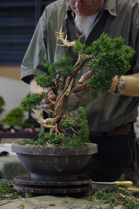 2009428105025_IMG_4746