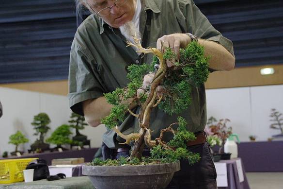 2009428105049_IMG_4747