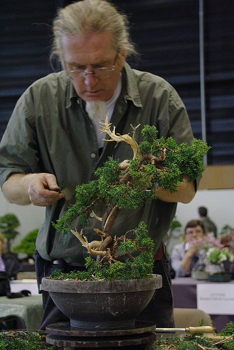 2009428105135_IMG_4749