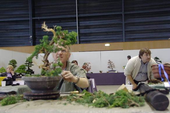 200942810519_IMG_4748