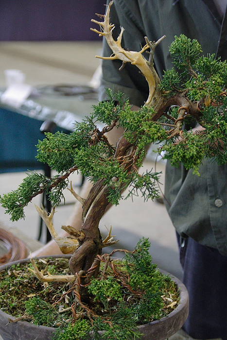 2009428105313_IMG_4756