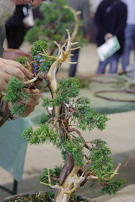 2009428105357_IMG_4758