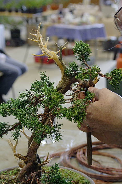 2009428105420_IMG_4759