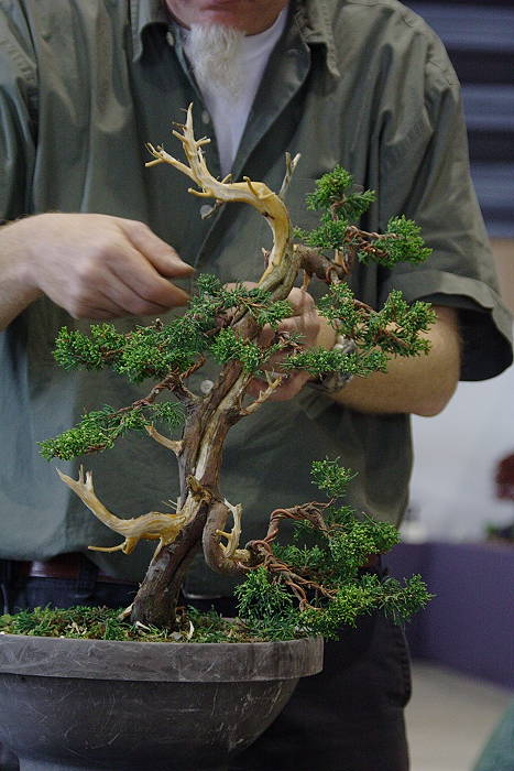 2009428105538_IMG_4768