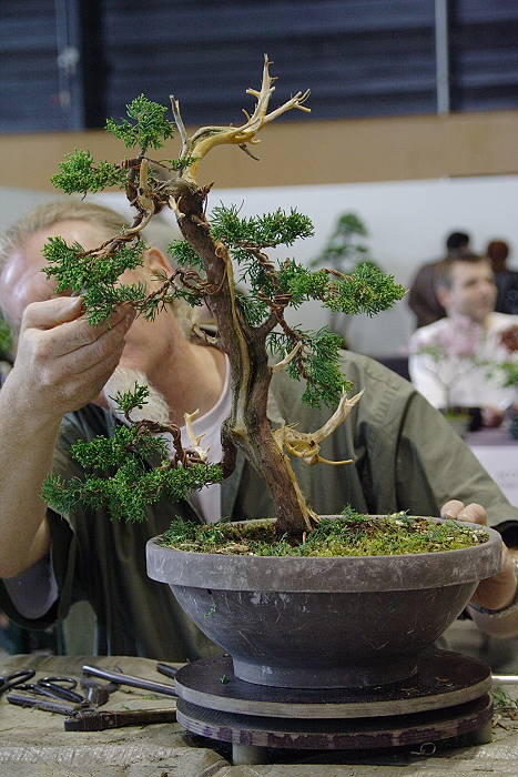 200942810558_IMG_4767