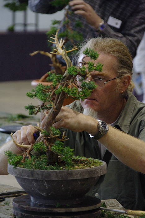 2009428105756_IMG_4775